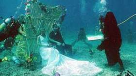 9 حفلات زفاف بـ 11.5 مليون دولار