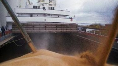 Algeria to buy 150.000 tons of wheat