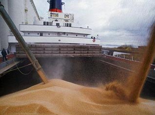 Algeria to buy 150.000 tons of wheat