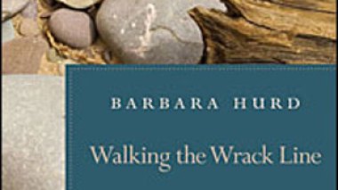 Summer book/'Walking the Wrack Line'