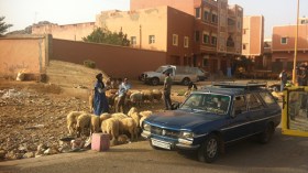 طلمين بأدرار .. بلدية بحاجة لانتفاضة تنموية
