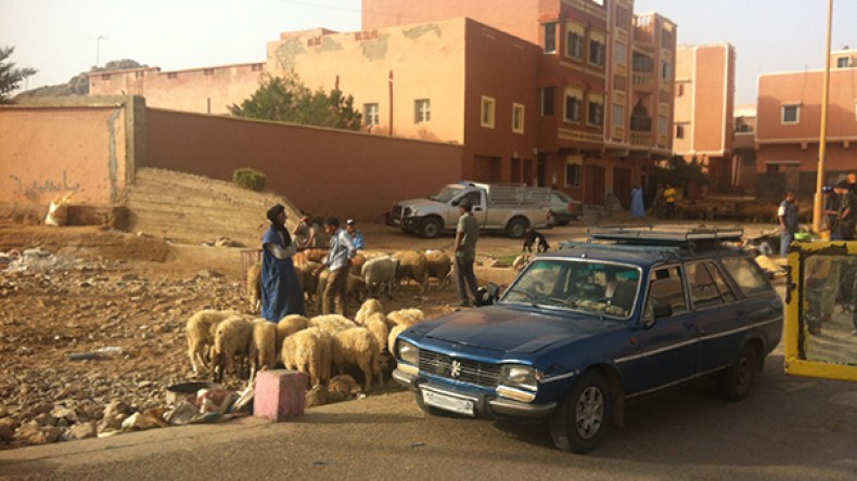 طلمين بأدرار .. بلدية بحاجة لانتفاضة تنموية
