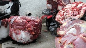 حجز قنطار ونصف من اللحوم الفاسدة بسوق أهراس