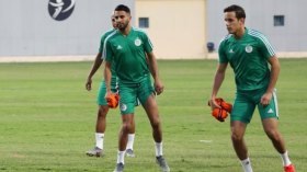 زفان أساسيٌّ ضد نيجيريا