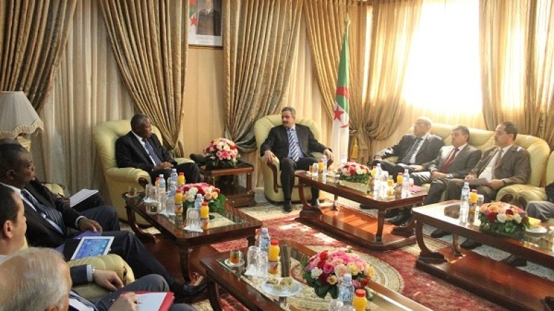 الوزير تهمي يستقبل لجنة المعاينة التابعة لـ “الكاف”