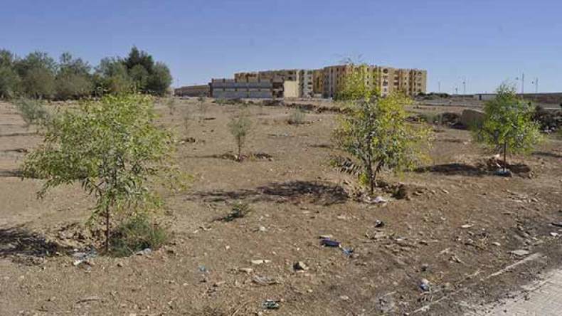 مواطنون يُطالبون بتخصيص أرض لمرافق ومساحة خضراء بالمسيلة