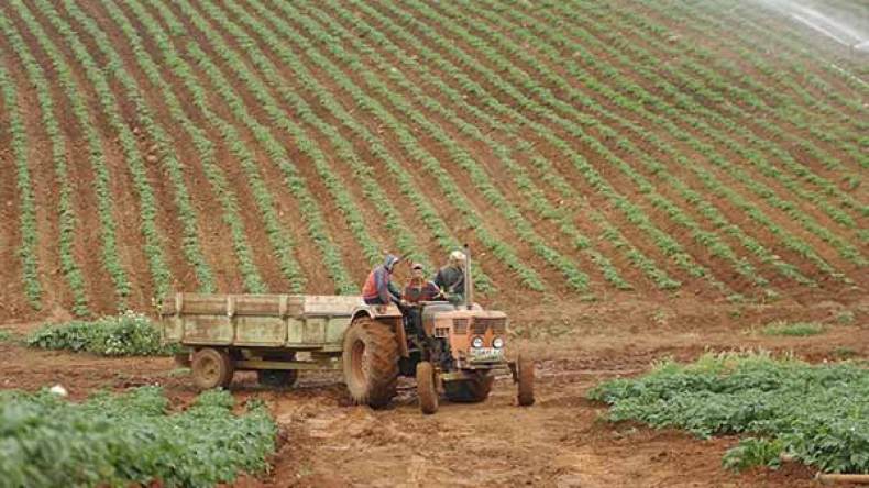 لا منح للمزارع النموذجية دون دفتر شروط!