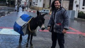 إصنع “الباز” في الجزائر.. ولو بحمار