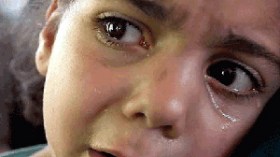 كفالة 140 يتيم وغرس 600 شجرة والتعاقد مع 50 طبيبا