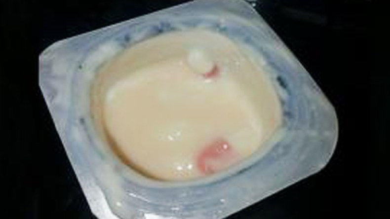 ياورت بالإكستا!