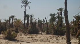 طرقات عين صالح.. الأقصر عمرا والأكثر حفرا في الجزائر