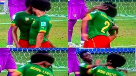 أسدان من الكاميرون يتناطحان في أدغال الأمازون!