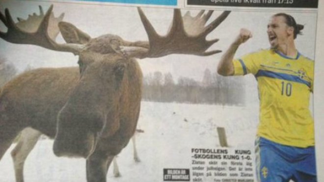 منظمات “إيكولوجية” تندّد بإصطياد إبراهيموفيتش لحيوان الأيّل