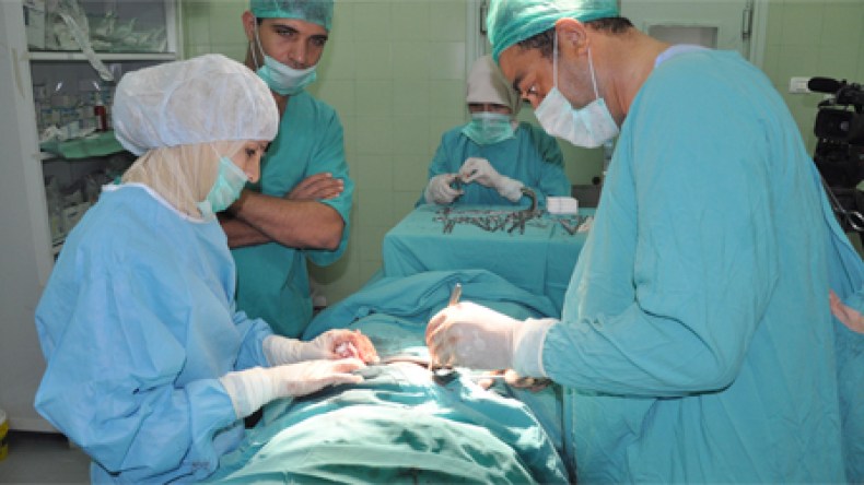 جزائريون يتزاحمون لشراء أعضاء الموتى