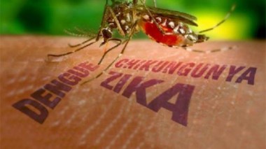 Virus Zika: l’IPA n’a pas les moyens de le diagnostiquer !