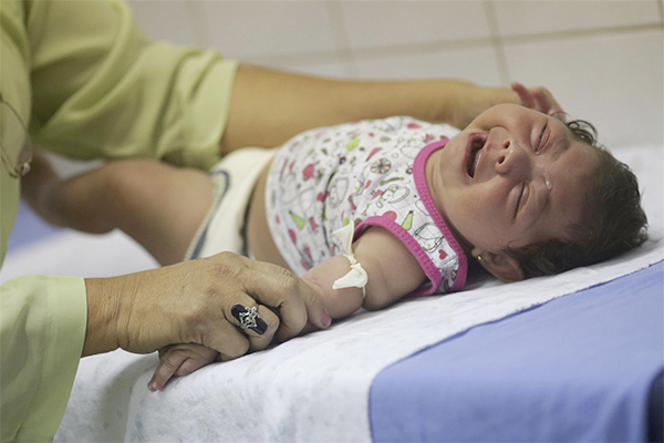 Strict Surveillance at Algerian Airports and Ports to Halt Zika Virus