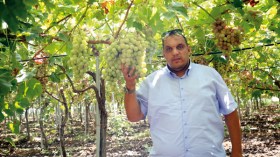 “داي” للتطوير الفلاحي ستمول مشاريع ملاك الأراضي الزراعية