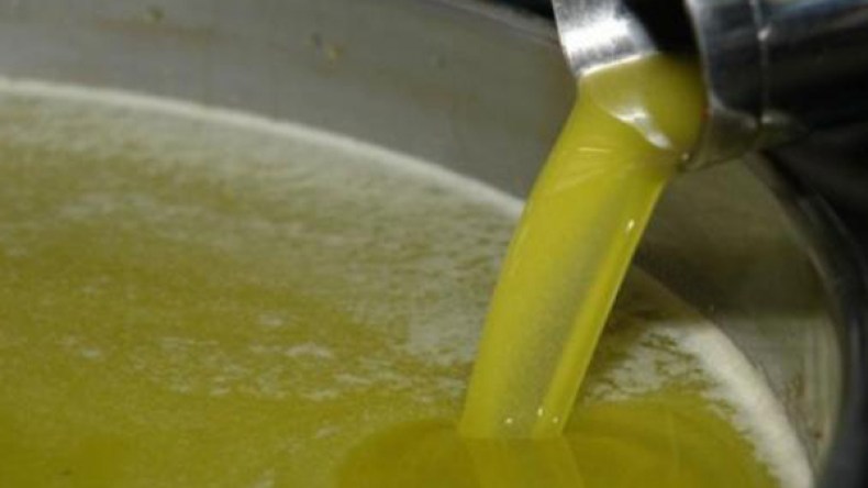 توقع إنتاج بين 5 و6 ملايين لتر من زيت الزيتون بالبويرة