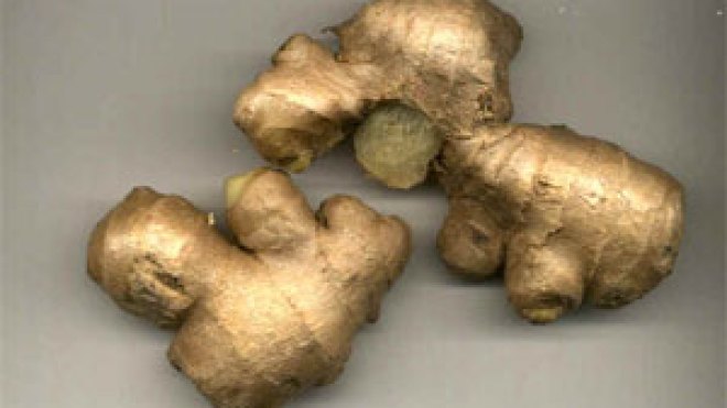 فياغرة إسلامية إسمها… شراب الزنجبيل!!