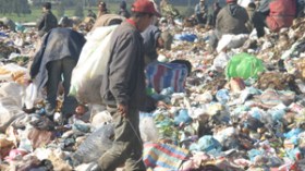 آلاف مناصب الشغل لتأسيس شركات جمع النفايات