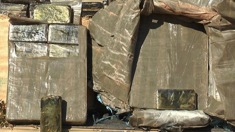 19 متهما في قضية تهريب المخدرات بإسم استيراد التفاح