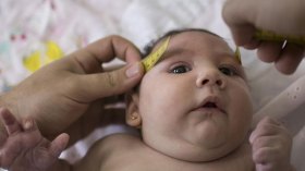 فوبيا فيروس “زيكا” تدخل بيوت الجزائريين..!
