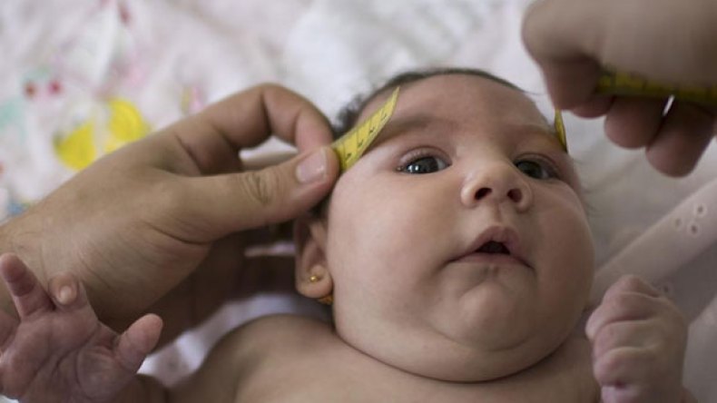 فوبيا فيروس “زيكا” تدخل بيوت الجزائريين..!
