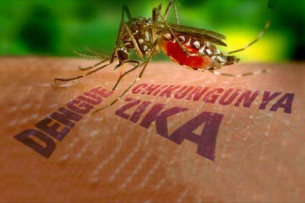 Zika en France… et la peur en Algérie !