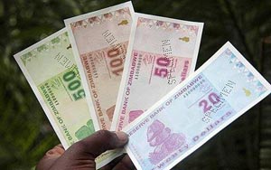 Zimbabwe dollar dead, says top economist