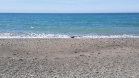 دعوات إلى غلق شاطئ خلوفي 1 بزرالدة لتلوث مياهه