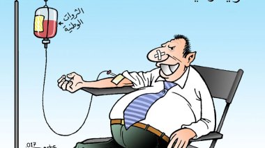 الهوليقارشيا…