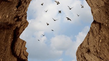 الصنمية الفكرية.. أعتى صنميات هذا العصر