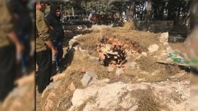 مجهولون ينبشون قبورا بإليزي