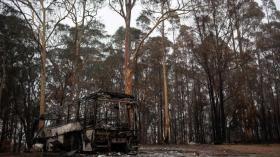 نفوق مليار حيوان بسبب حرائق أستراليا