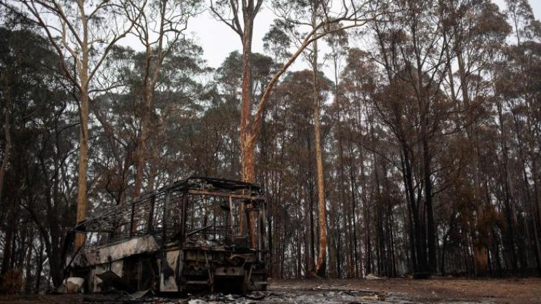 نفوق مليار حيوان بسبب حرائق أستراليا