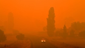 أستراليا تقيم أضرار الحرائق الهائلة