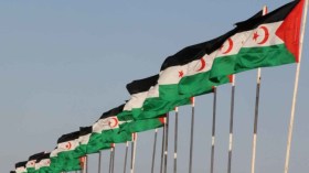 صحفيون إسبان يطالبون حكومتهم بتحمل مسؤولياتها تجاه الصحراء الغربية