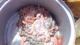 حجز أمعاء خراف فاسدة بالمدية