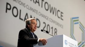 الاتفاق على وقف إطلاق النار في الحديدة