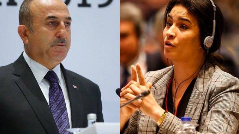 شاهد.. تشاووش أوغلو “يلجم” برلمانية فرنسية