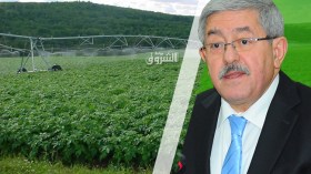 أويحيى: الدولة لن تتخلى عن دعم الفلاحة.. ولا أرض لمن لا يخدمها