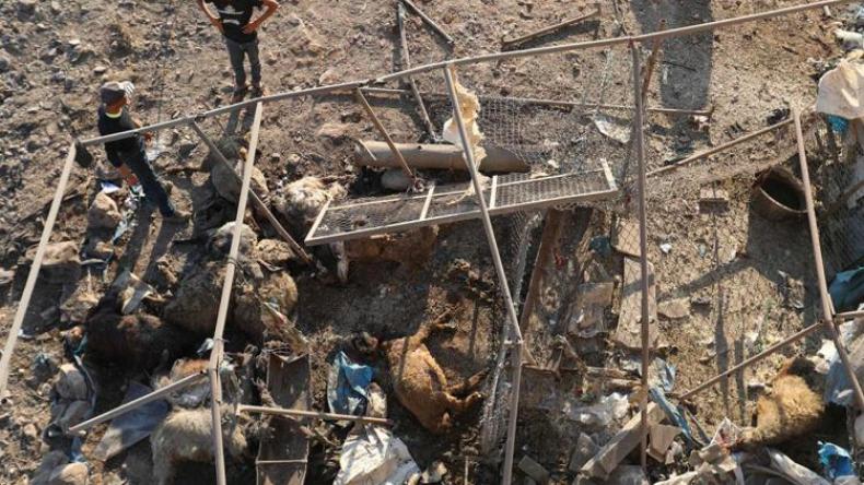 مقتل ستة مدنيين بقصف على شمال غرب سوريا