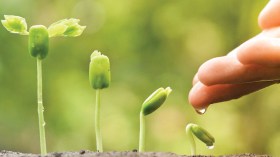 أخلقة الأخلاق!