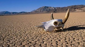 المواطنون يتطلعون إلى إنشاء مدن جديدة بـ”صحراء الموت” في أدرار