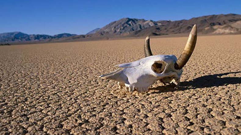 المواطنون يتطلعون إلى إنشاء مدن جديدة بـ”صحراء الموت” في أدرار