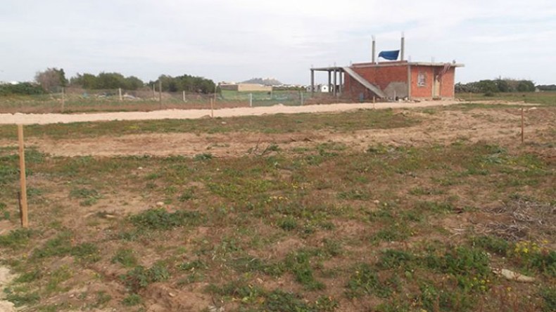 مواطنون يستولون على قطع أرضية بتيارت