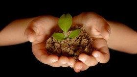 ازرع ما تريد حصاده