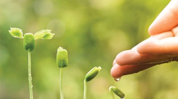 المسألة الأخلاقية وجدل الأزمة والحل