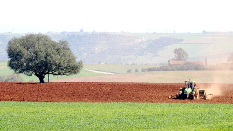 فلاحو بوشيطان بالمدية ينتظرون تسوية عقودهم