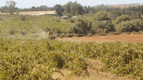 شركات تبيع مبيدات لا علاقة لها بالزراعة.. وهذه حقيقة إرجاع المنتجات